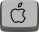 APPLE_GENERAL.png